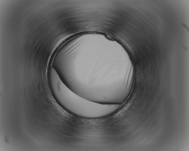 X0000098090932200804251251