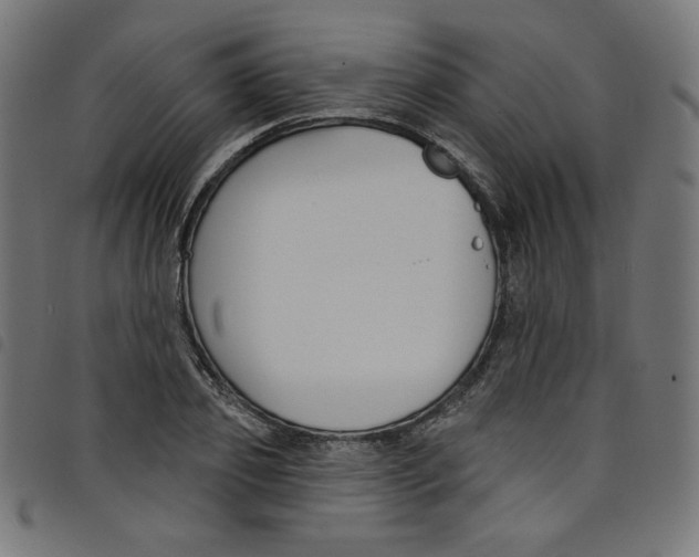 X0000098090933200804251251