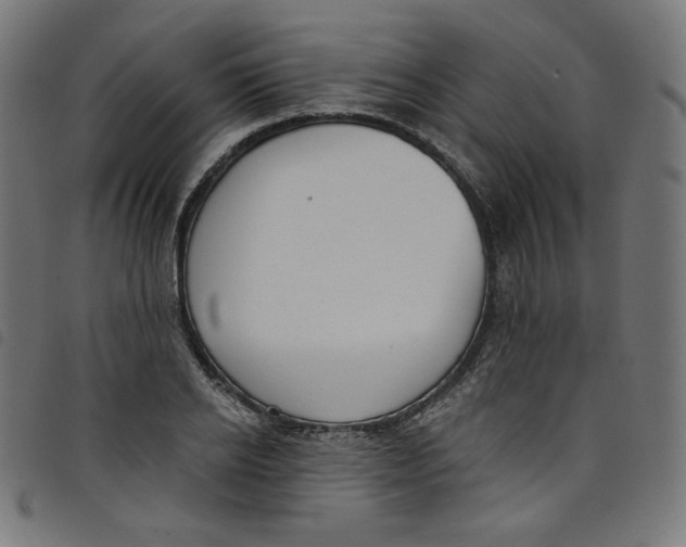 X0000098090934200804251251