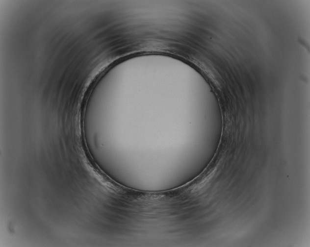 X0000098090939200804251251