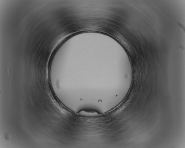 X0000098090940200804251251
