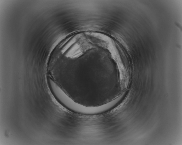 X0000098090941200804251251