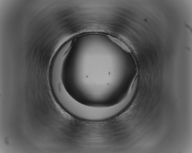 X0000098090942200804251251