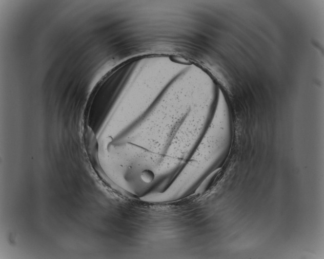 X0000098090944200804251251