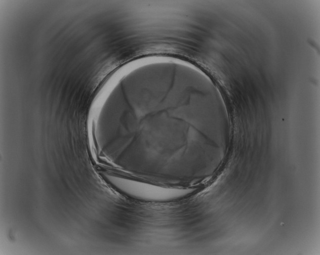 X0000098090945200804251251