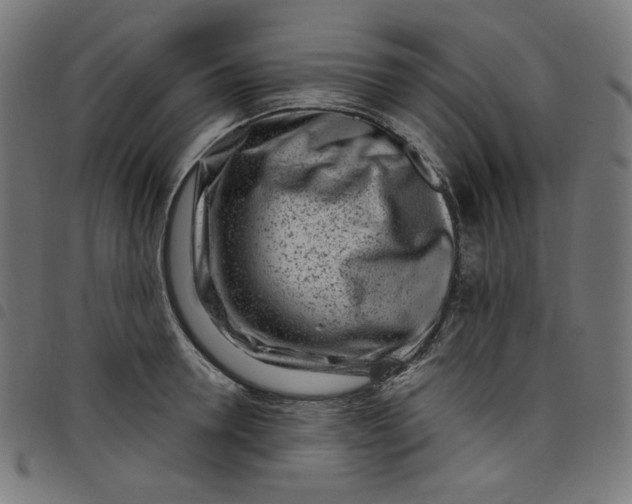 X0000098090946200804251251