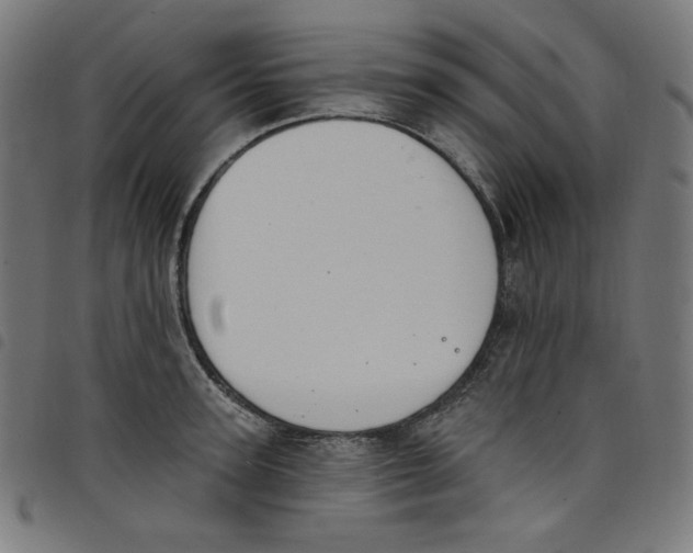 X0000098090947200804251251