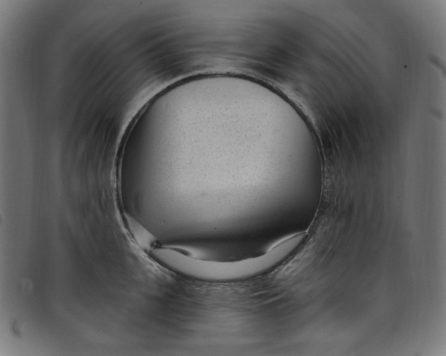 X0000098090951200804251251