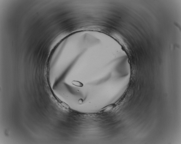 X0000098090952200804251251