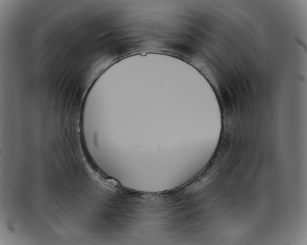 X0000098090954200804251251