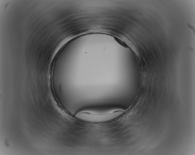 X0000098090955200804251251