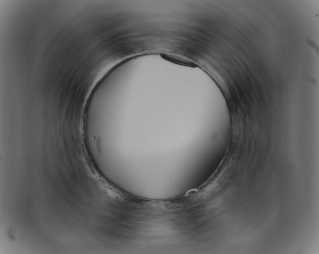 X0000098090956200804251251