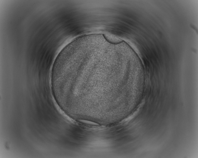 X0000098090957200804251252