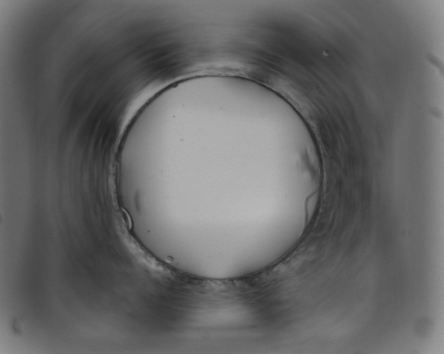 X0000098090960200804251252