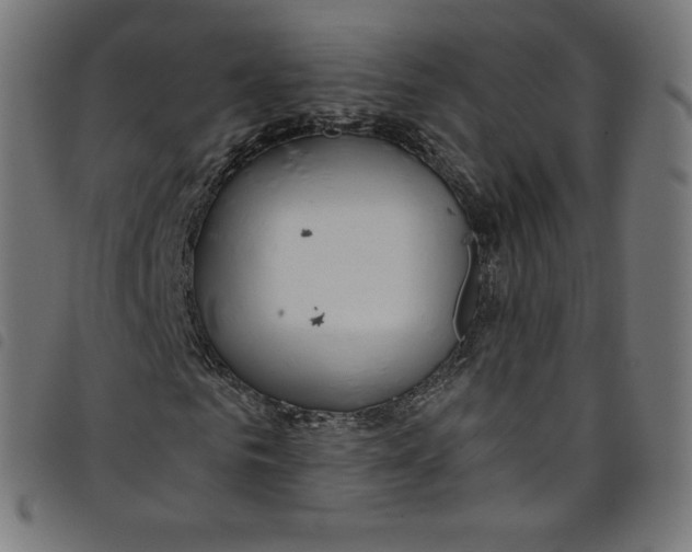 X0000098090961200804251251