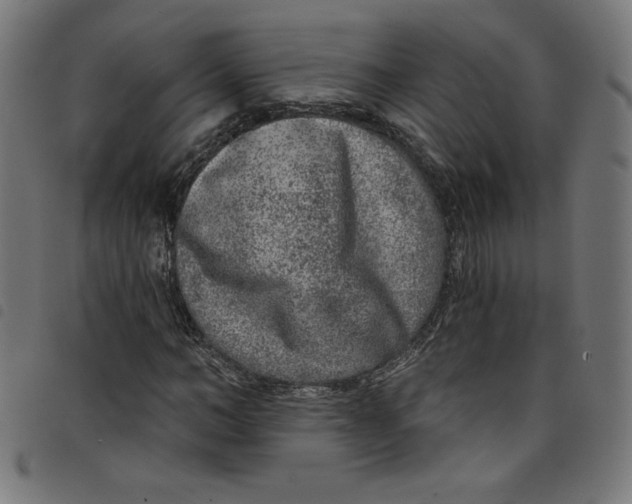 X0000098090966200804251251