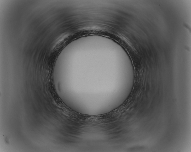 X0000098090967200804251251