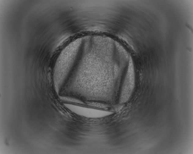 X0000098090968200804251251