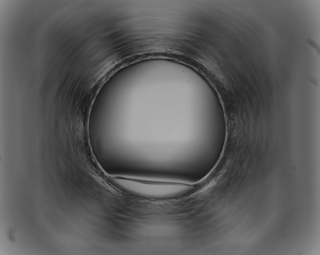 X0000098090969200804251251