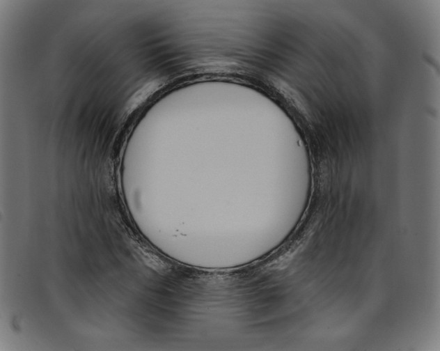 X0000098090970200804251251