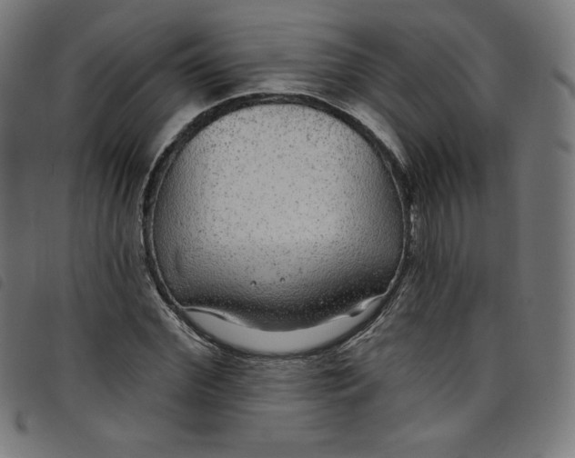 X0000098090972200804251251