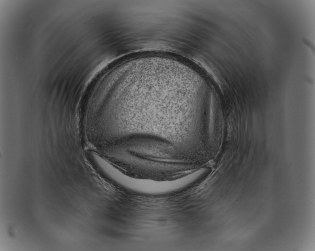 X0000098090975200804251251