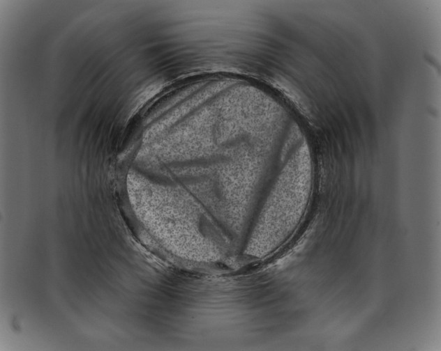 X0000098090977200804251251
