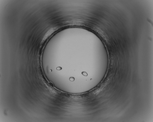 X0000098090978200804251251