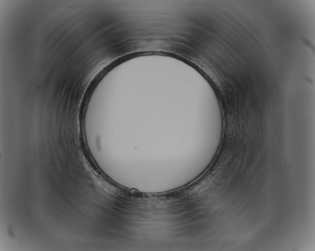 X0000098090980200804251251
