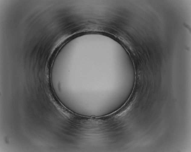 X0000098090981200804251251