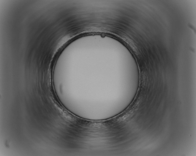 X0000098090982200804251251