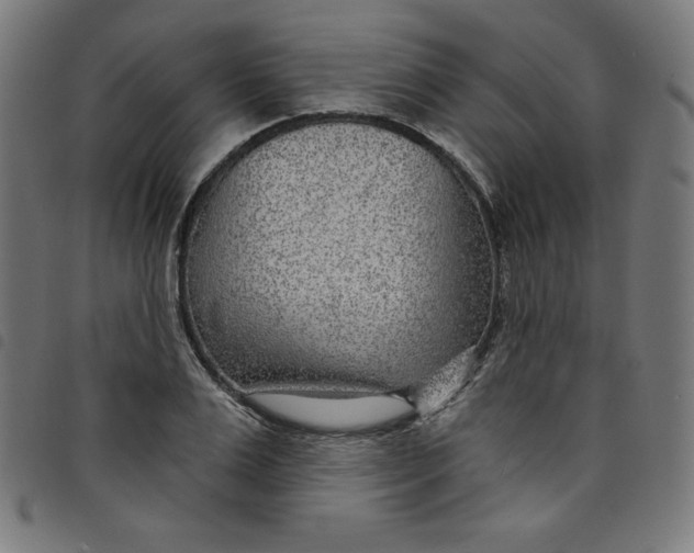 X0000098090983200804251251