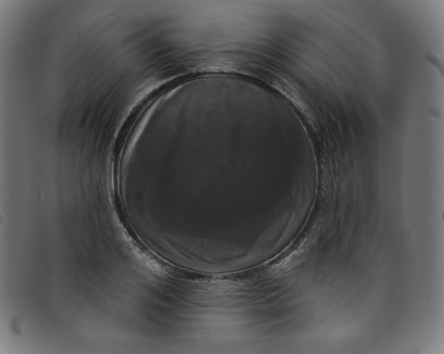 X0000098090984200804251251