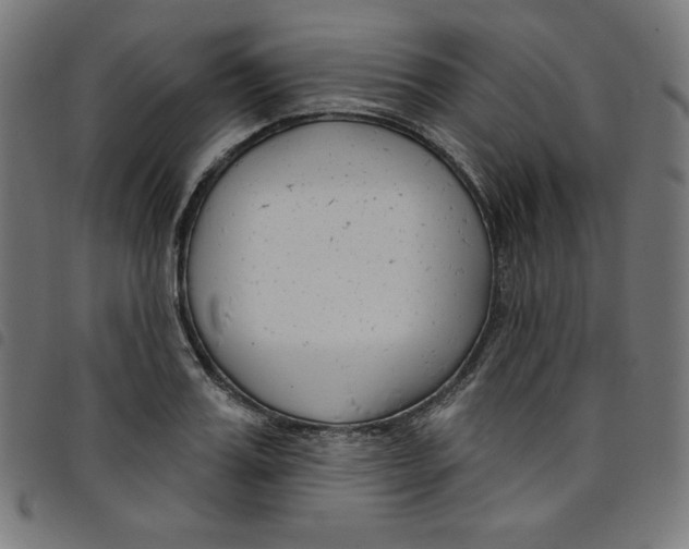X0000098090987200804251251