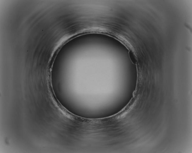 X0000098090989200804251250