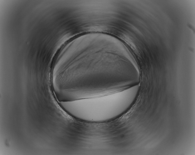 X0000098090992200804251250