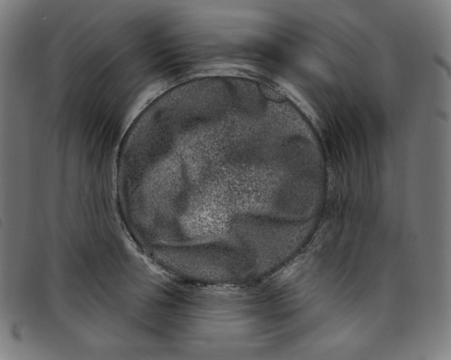 X0000098090994200804251250