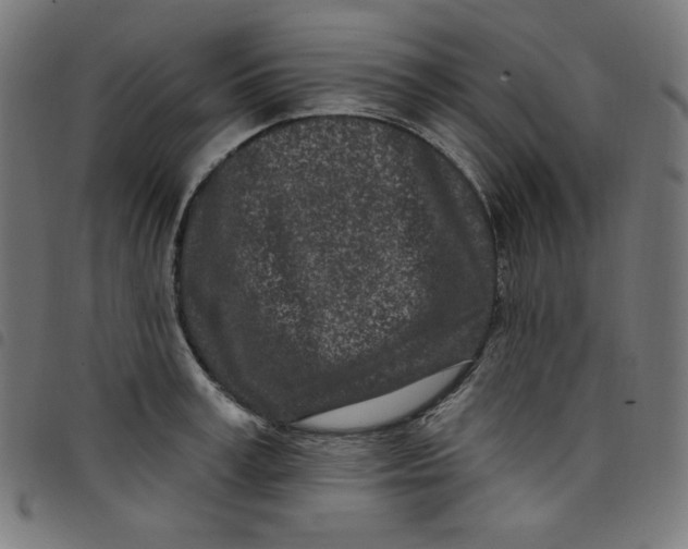 X0000098090995200804251250