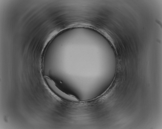 X0000098090997200804251250