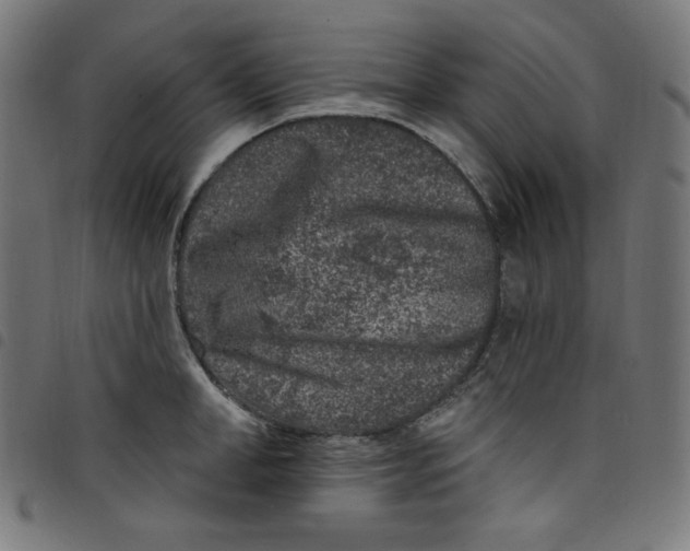 X0000098090998200804251250