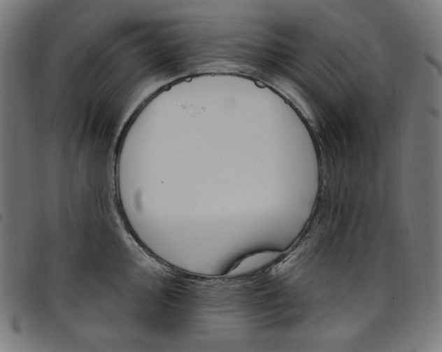 X0000098091000200804251250