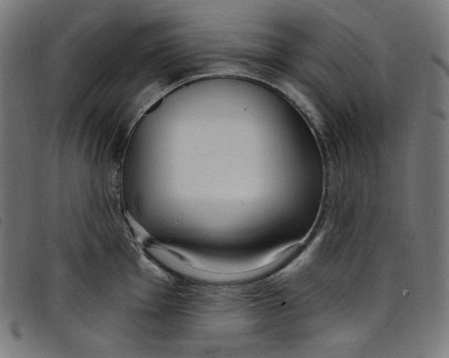 X0000098091001200804251250