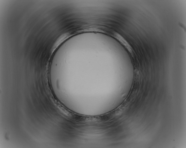 X0000098091002200804251250