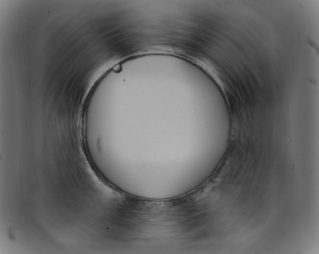X0000098091003200804251250