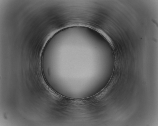 X0000098091004200804251250