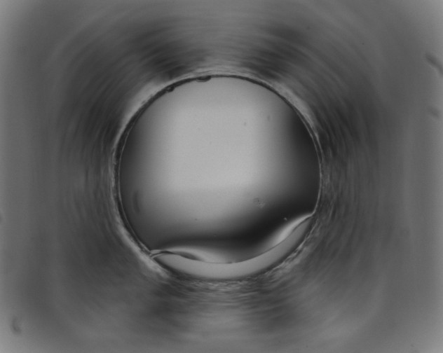X0000098091005200804251250