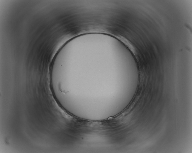 X0000098091006200804251250