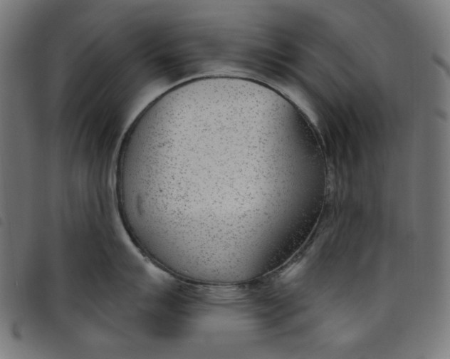 X0000098091007200804251250
