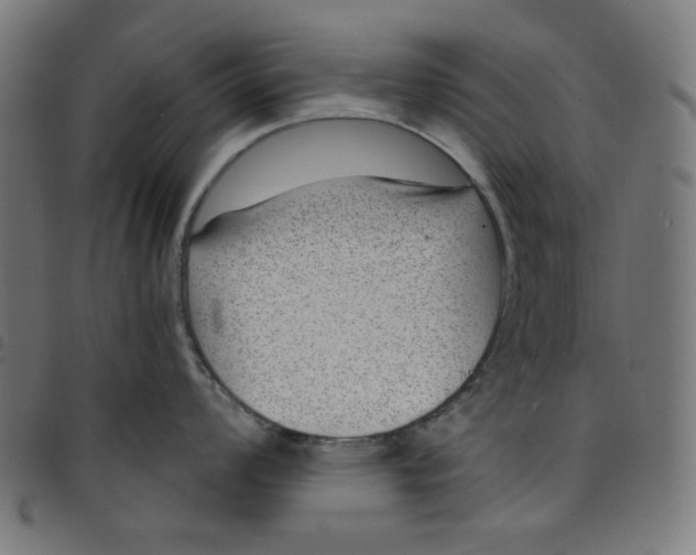 X0000098091008200804251250