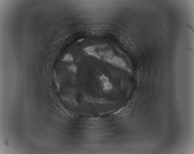 X0000098091009200804251250